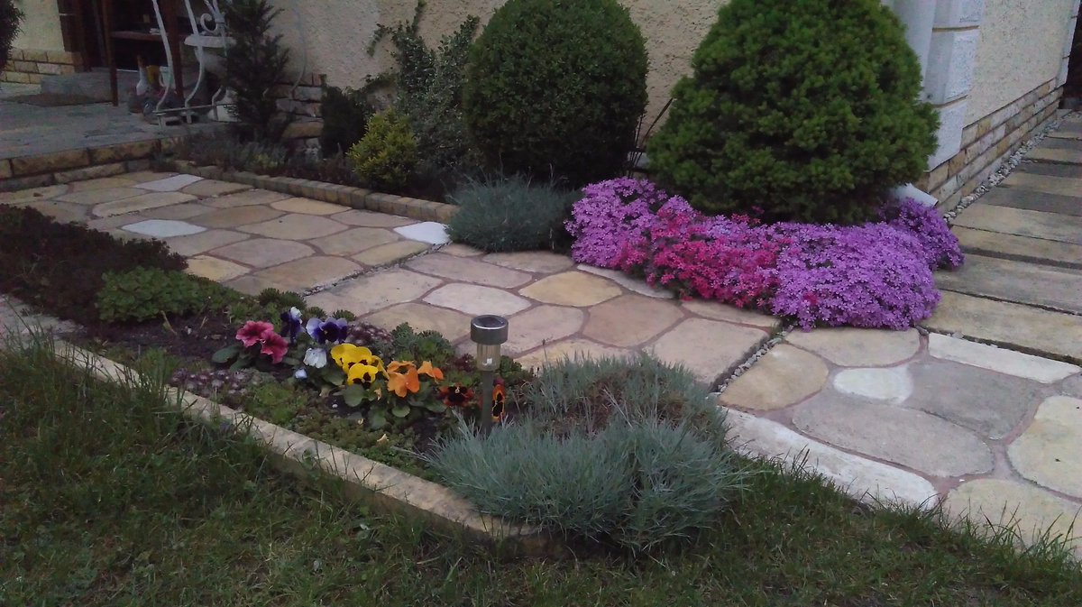 __Eniko__'s tweet photo. #Flowers, #spring https://t.co/zXcck8RTZ0