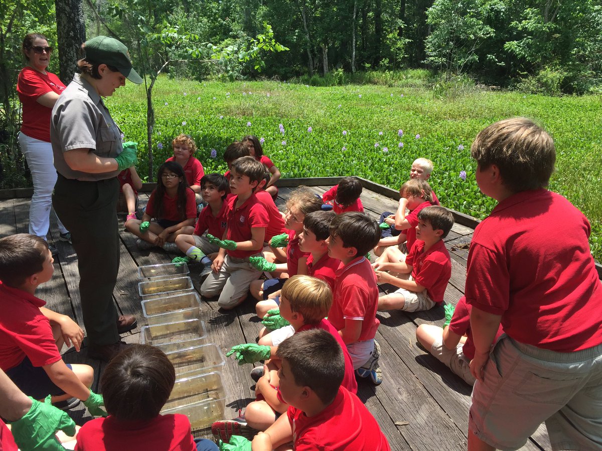 epas_stm's tweet photo. Second Grade visited Jean Lafitte State Park. They searched for aquatic macro invertebrates! https://t.co/InrSVHdgSg