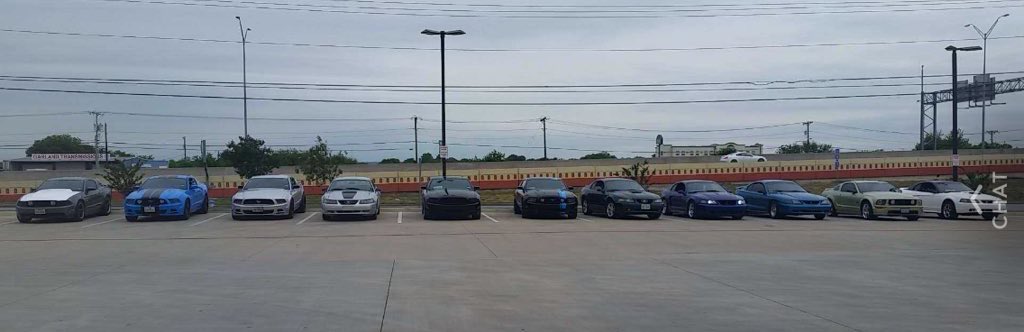 StangGang_'s tweet photo. Shoutout to Texas street stangs! DM us your stang gang for a shout out https://t.co/eKw04XRmOu