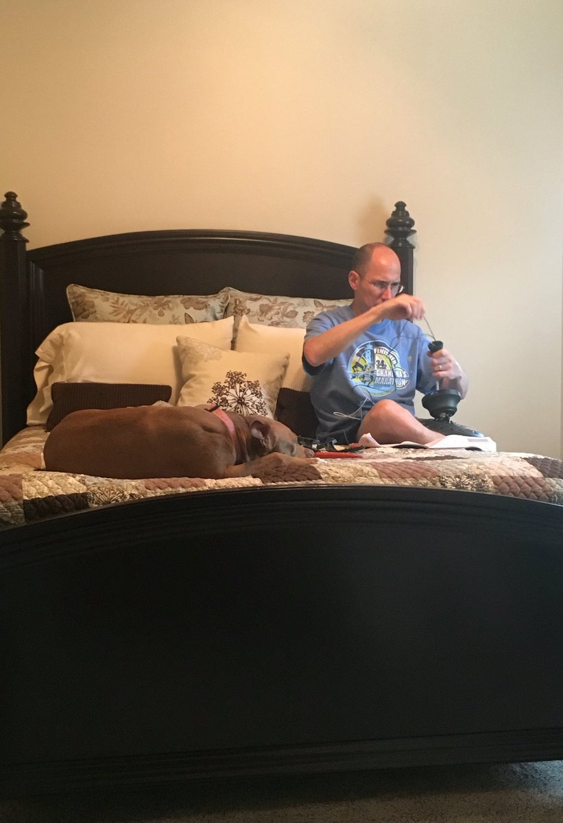 mrunnergirl's tweet photo. #Daddyshelper #pittylove #pitpride #SundayFunday @WebbfWebb @bnation104 https://t.co/luTQbJ8uSf