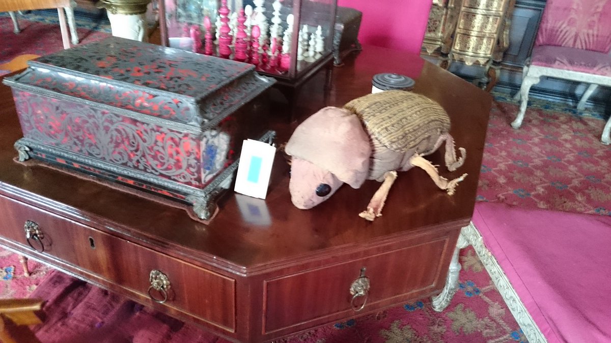 LifeOnBaars's tweet photo. Huge beetle or tiny furniture? Finally managed to visit @ErddigNT - hurrah #museumIPM #Anobiumpunctatum #bluewool https://t.co/c6vSQm0UQr