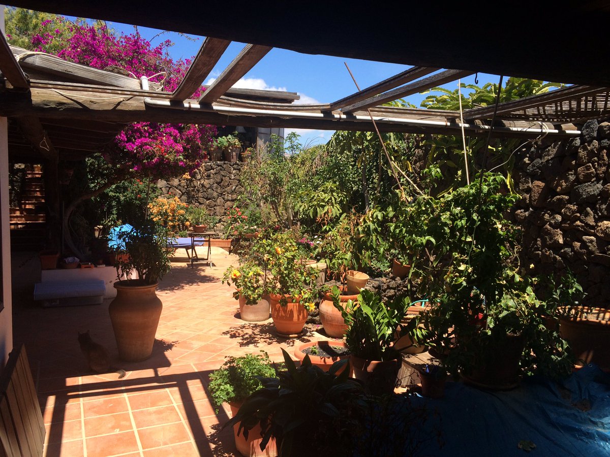 HansPHanebuth's tweet photo. Lanzarote finca for sale:
495.000,-- € https://t.co/QFQPla38wa