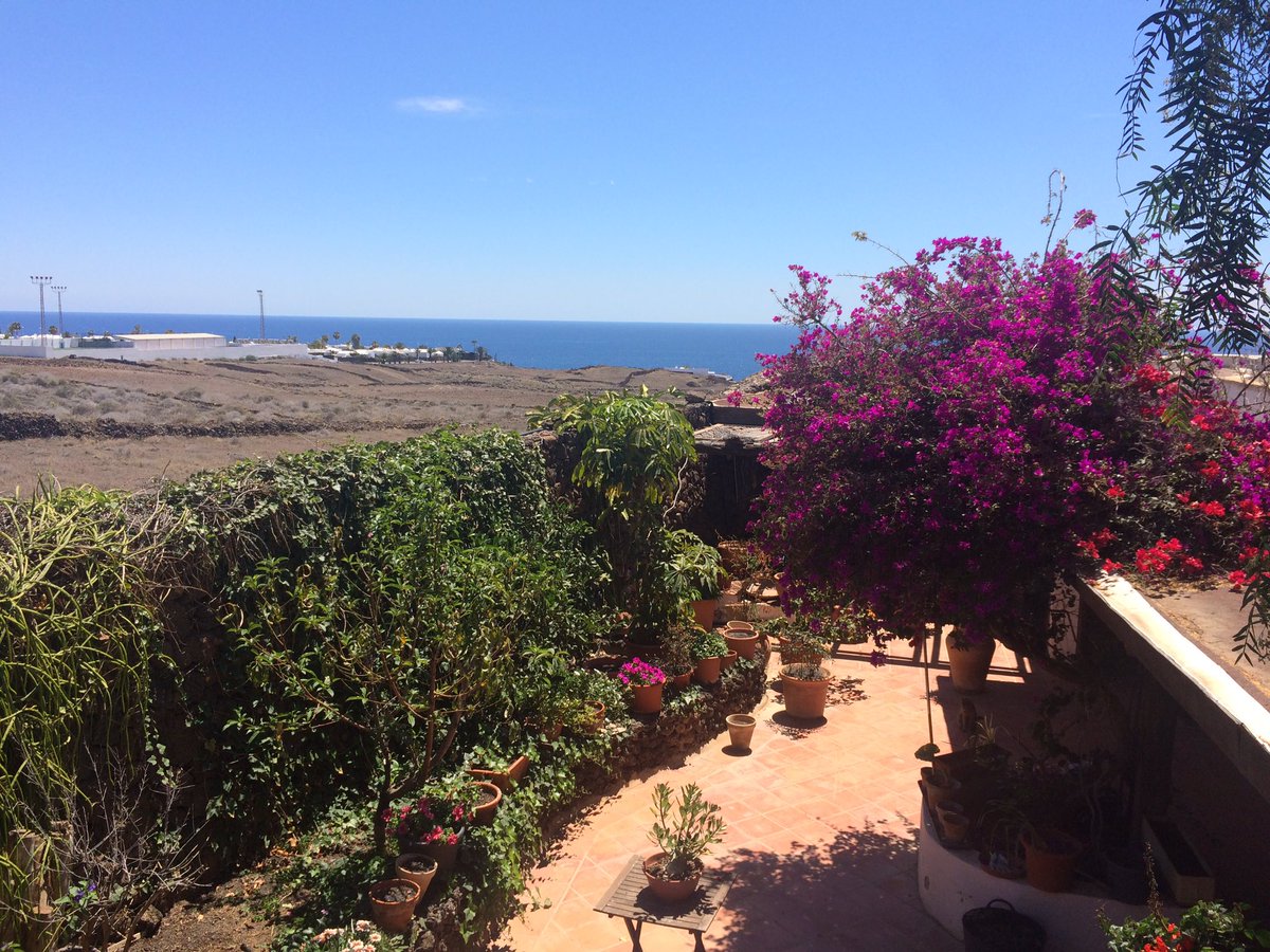 HansPHanebuth's tweet photo. Lanzarote finca for sale:
495.000,-- € https://t.co/QFQPla38wa