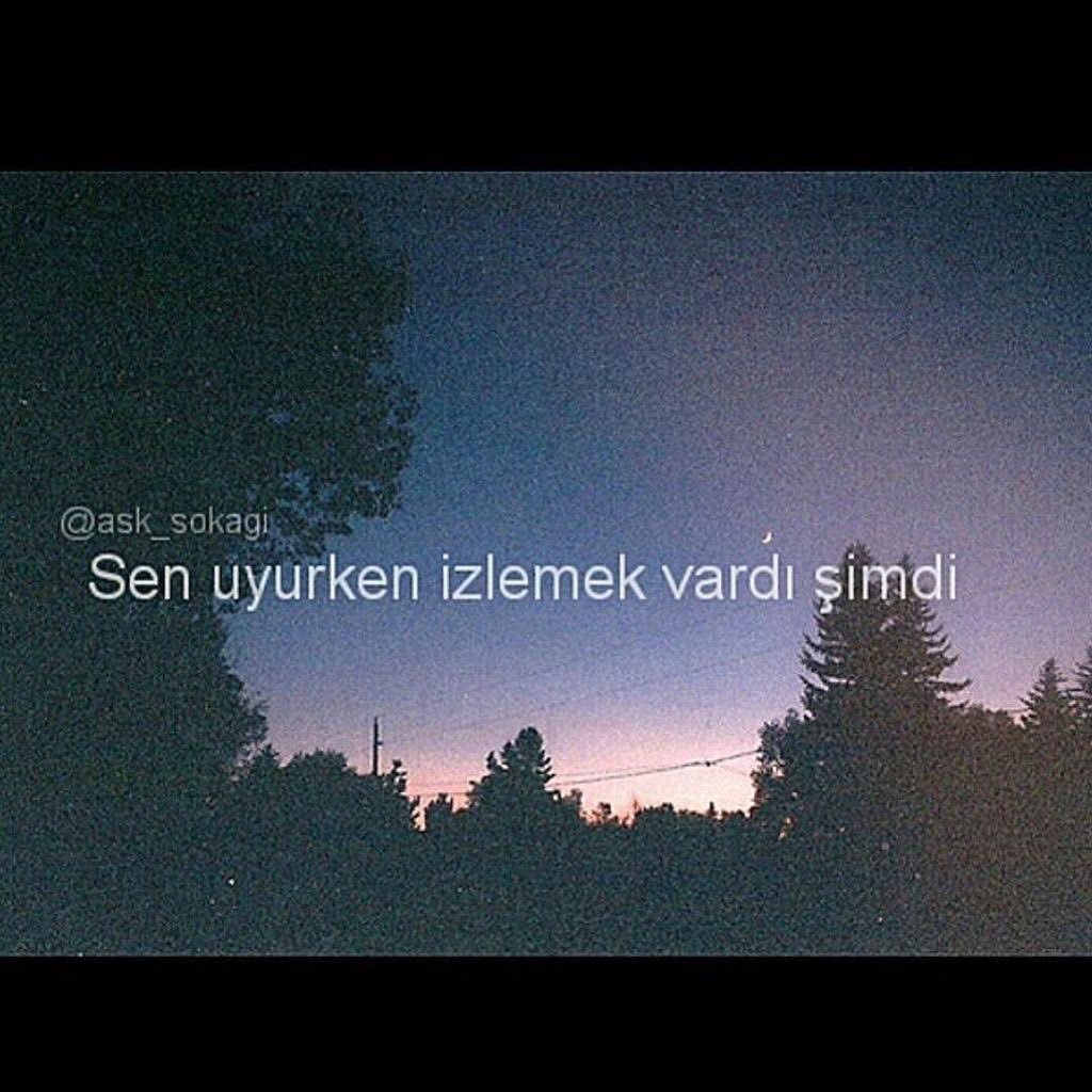 Nur Ziko (@zikonur) on Twitter photo 