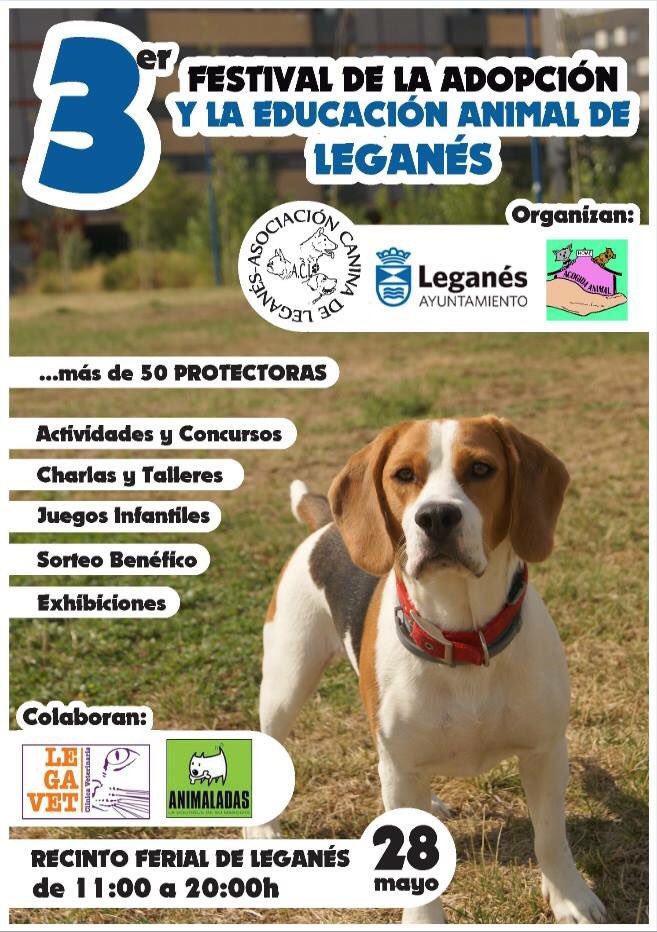Acleganes's tweet photo. @telemadrid Festival de la Adopción en #Leganés 28 de Mayo recinto ferial #adoptaYcuida No te quedes en casa. 😊 RT https://t.co/fzxTKem3dR