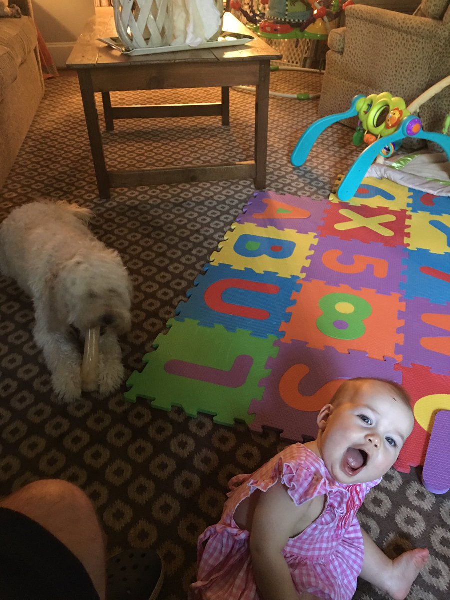 GlennWarren34's tweet photo. As my weekend as a single Dad comes to a close, I have an even greater appreciation for stay-at-home Moms #hardwork https://t.co/vyZC8cOntL