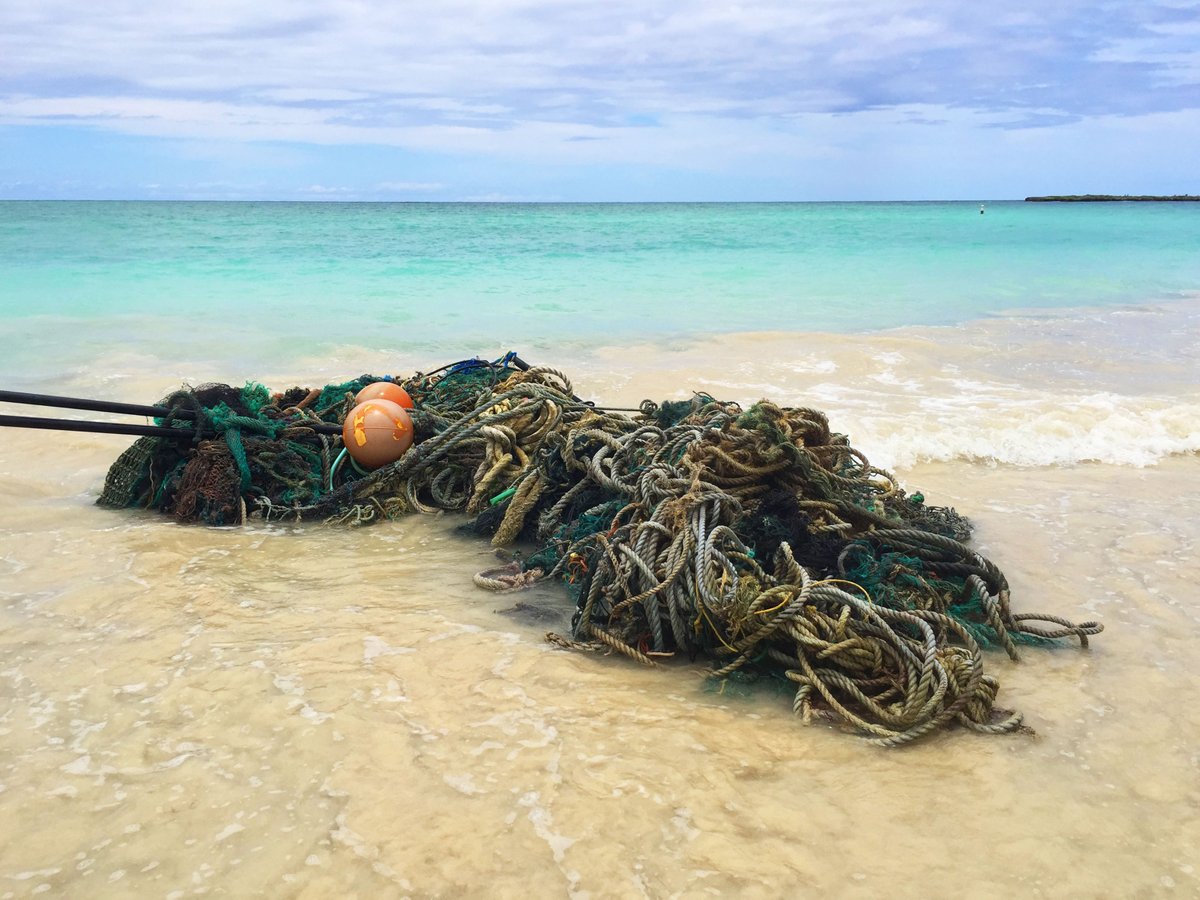 KailuaKayaks's tweet photo. Check out what our SUP Instructors found in Kailua Bay! That's a lot of marine debris. Nice job! https://t.co/8NjZUMM0WU