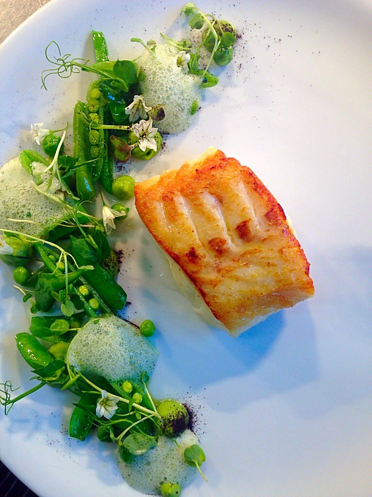 stan_cicon's tweet photo. Fresh cod, sea foam @WaterfordCastle @chefcastle https://t.co/sm62tjfZ82