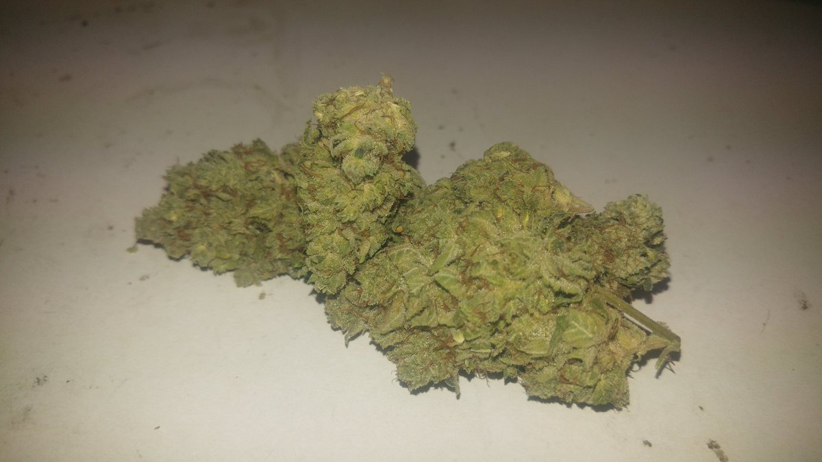 1313collective's tweet photo. Get your #blunt rolled with this #hybrid Call for a #420Delivery in #OrangeCounty (714) 820-0946 https://t.co/E5MNBH7GOJ
