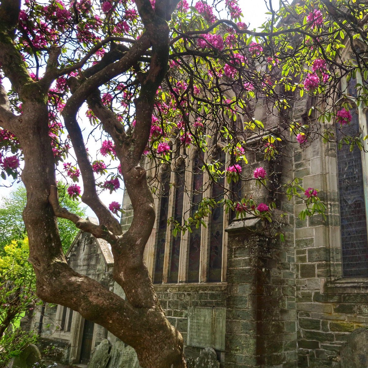 RachelBurch2's tweet photo. Tavistock's church today, taken from a ♿️ #Devon.
I'll be putting ♿️on accessible locations in future. https://t.co/RM5xyL9rbd