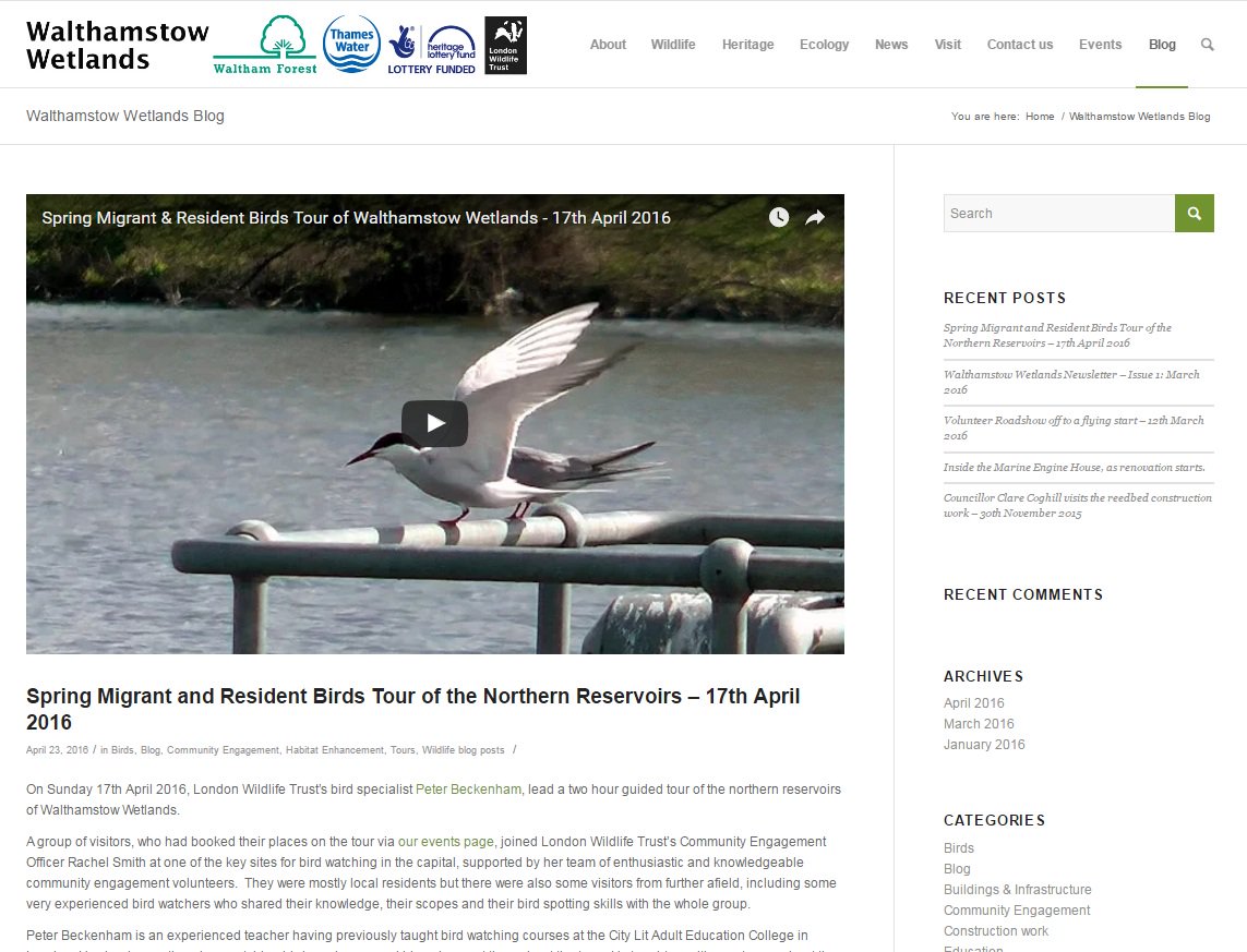Walthamsteve's tweet image. Read/watch what's happening at #Walthamstow #Wetlands on the official blog/vlog : walthamstow-wetlands.org.uk/blog/