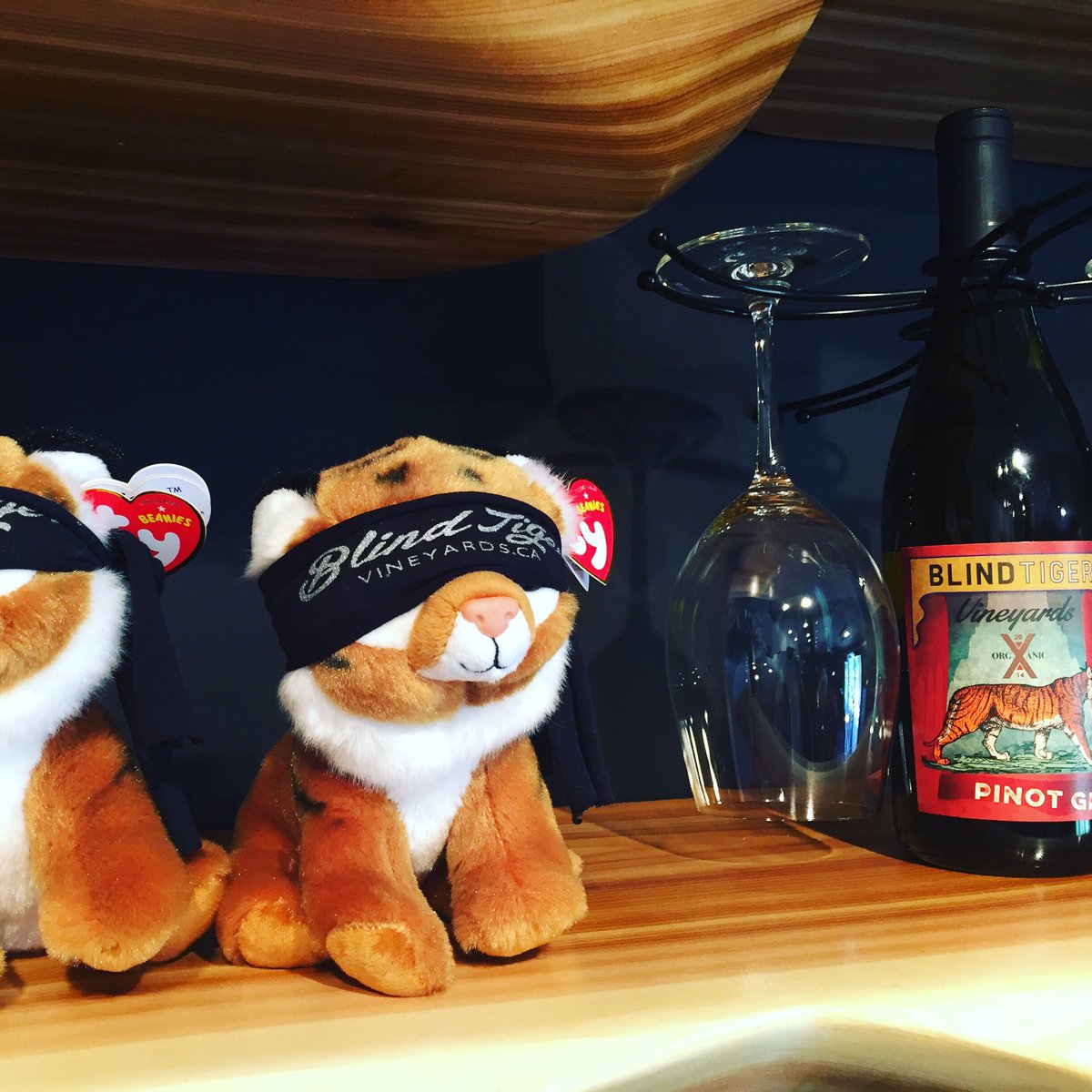 wickedwinetours's tweet photo. Get yer #stuffie on at @Blindtigervines. @ScenicSip #lakecountry #getwicked https://t.co/8CBxVCRoKq