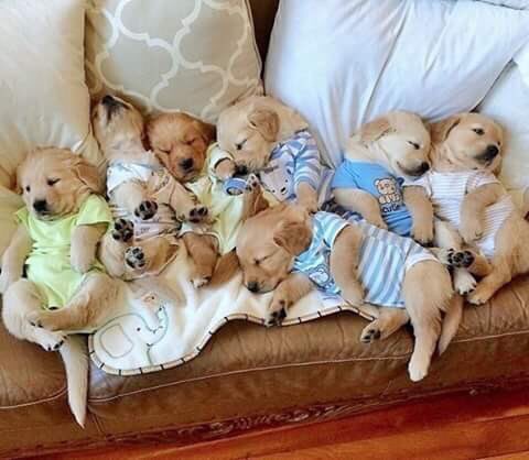 ScottPopescu's tweet photo. "Are u having kids?"

Me: yes https://t.co/QPGC5cKdeo