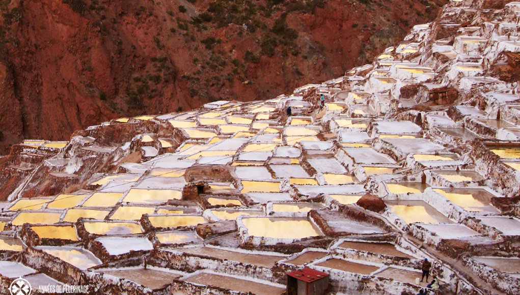 pelerinages's tweet photo. A place beyond beautiful - The Maras Salt Mines in Peru https://t.co/ThqaJjdi8H #ttot #trlt #travel https://t.co/eA4NyI3eAg