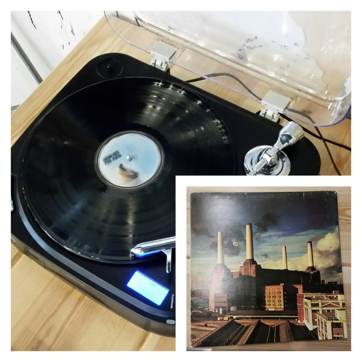 TinyRebelNpt's tweet photo. Album 3 of Classic Albums Sunday and my personal favourite Floyd LP: Animals. #vinyl #BeerAndRecords #CraftBeer https://t.co/QIqH3x0t8x