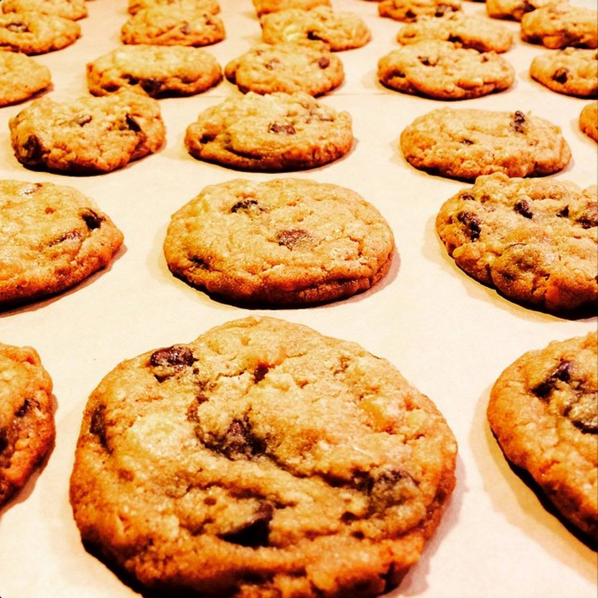 ChipperCookieCo's tweet photo. Today is National Chocolate Chip Day! #NationalChocolateChipDay https://t.co/v0v7wKGaS9 #ChocolateChipCookies https://t.co/CdTRU0ccVt