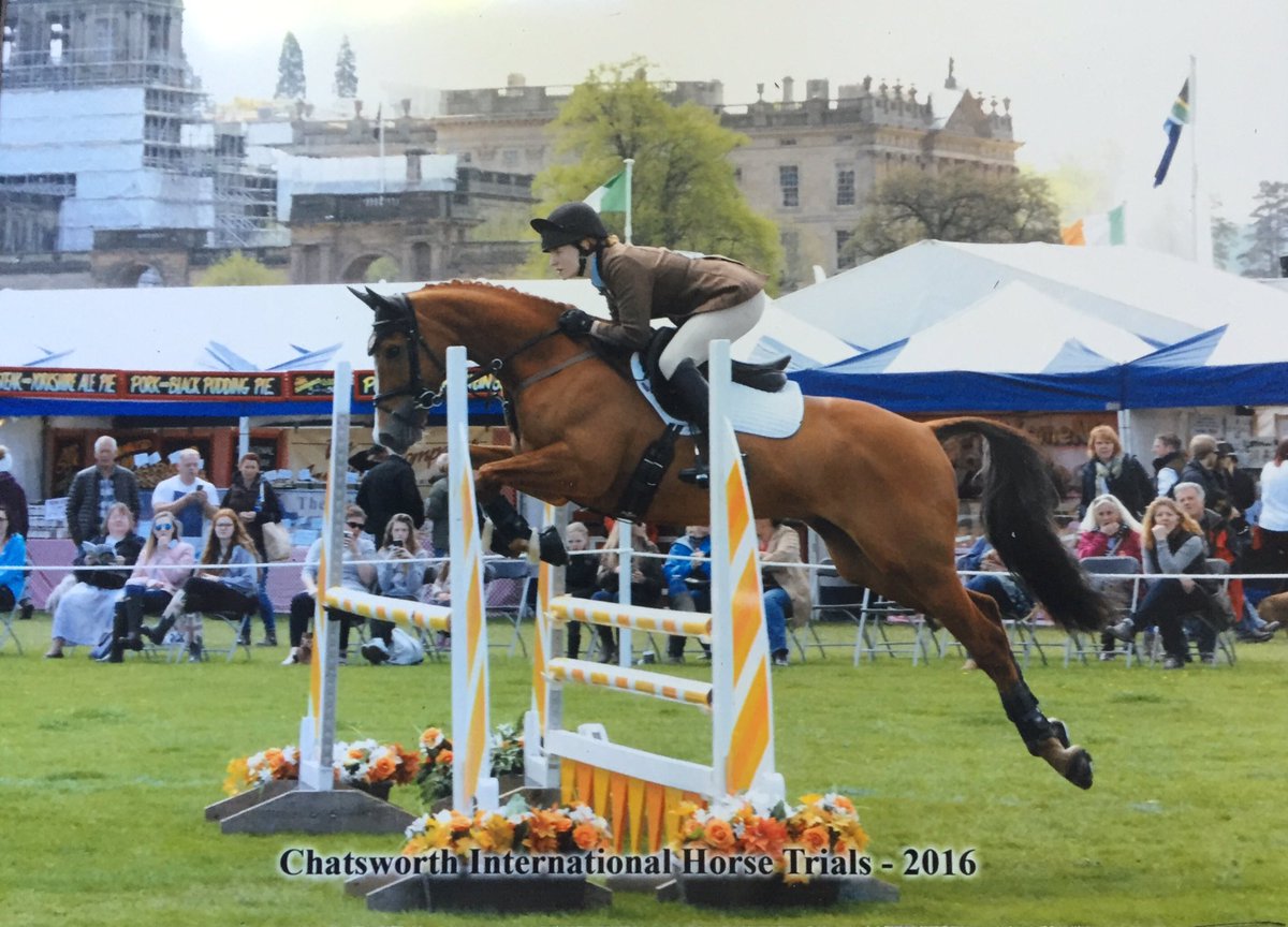 ArdernEventing's tweet photo. Rory was awesome today, fab clear helping the team to take the win💪 https://t.co/UlBEhOwVtn