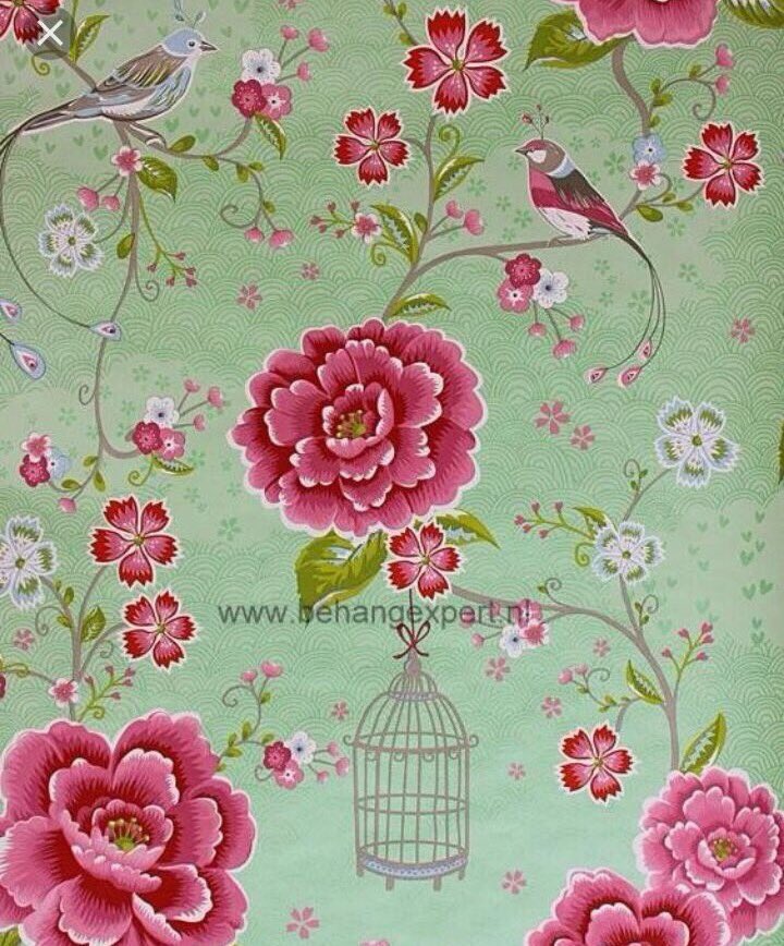 corkappert's tweet image. Heeft er iemand nog 2 meter van dit Pip behang liggen? Birds in paradise! @Caravanity  #dtv #caravanpimpen