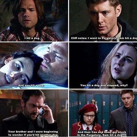 aWaywardDreamer's tweet photo. Because the dog was Sam's lowest point lol. Even Lucifer agreed 😂 #SPNFamily https://t.co/Oq55DXywls