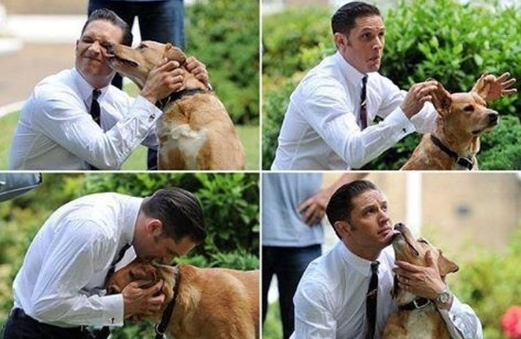 boohoo's tweet photo. If you've had a bad day, just look at #TomHardy with this dog 🐶💕 https://t.co/vZqnkP6pnd