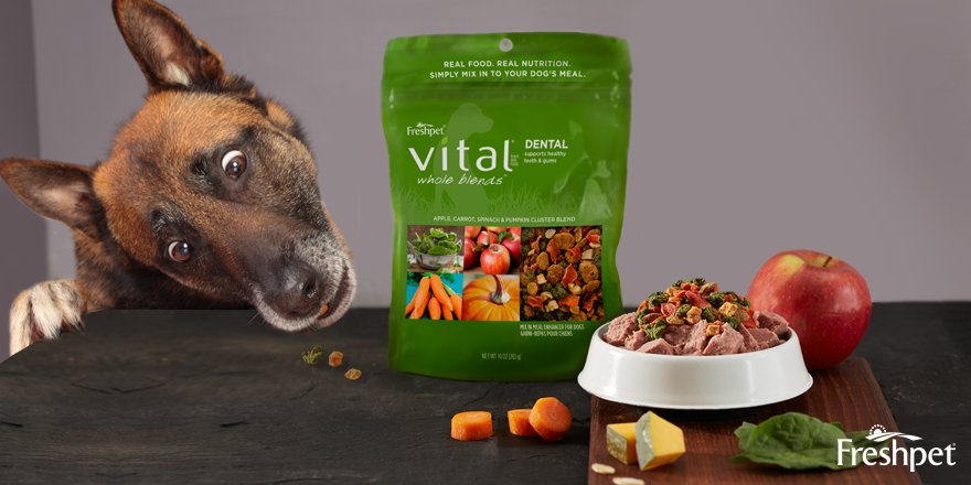 Freshpet's tweet photo. Our Dental topper supports healthy teeth &amp; gums with some crunch and an antioxidant boost! https://t.co/myC2rq8bsA https://t.co/DOCiDfOZmg