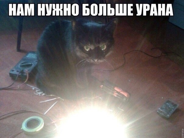 Шутки за триста (@TROLLchanell) | Twitter