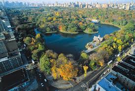 calltoindia's tweet photo. Central Park is the Heart of New York City  #newyorkcity #besties #centralpark #attractivepictures #unitedstates https://t.co/lW5Kt9B2RN