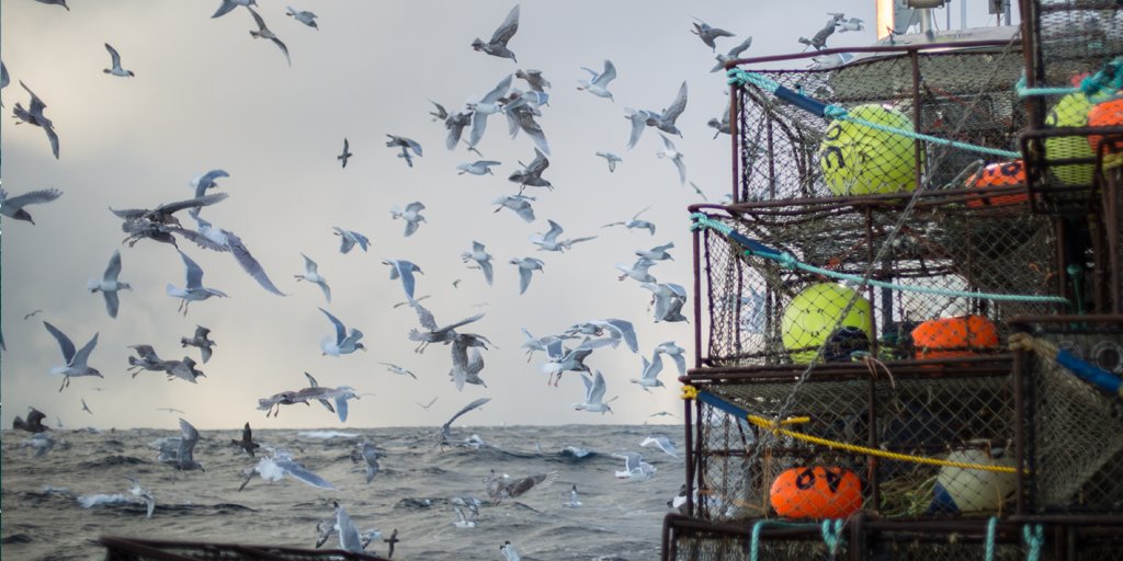DiscoveryUK's tweet photo. #DeadlestCatch is in full flight. How do you rate young guns @captseandwyer @JoshHarrisDC @JakeVAnderson so far? https://t.co/go4dOtj63H