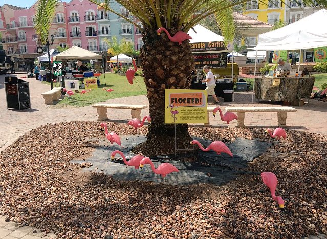 kaylorraine_3's tweet photo. Had such a fun time this morning helping @FlaglerFPS flock the European Village. Make sure you go and check it out! https://t.co/k1kUxaby2u