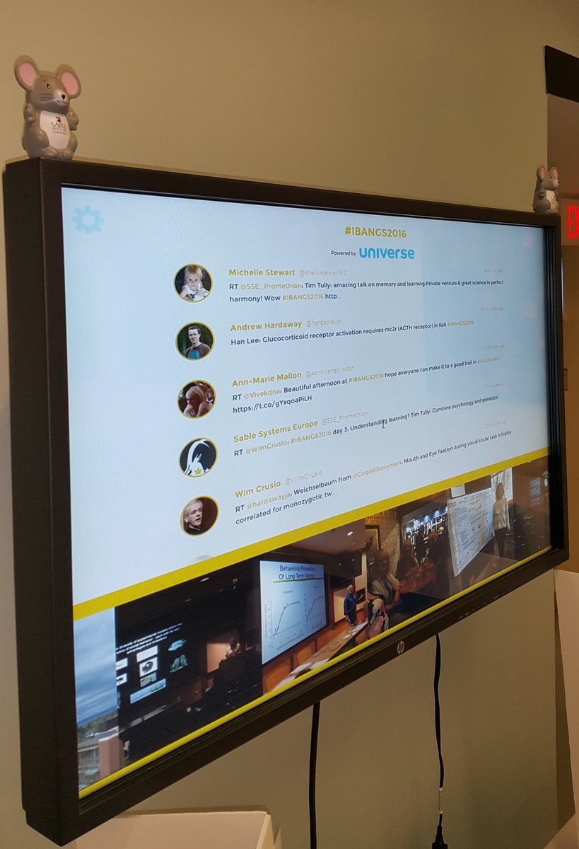 SableSysEurope's tweet photo. #Sablemouse taking over #IBANGS2016 twitter...literally! Amazing meeting, great science, fantastic people! https://t.co/ZMmC9RoF2L