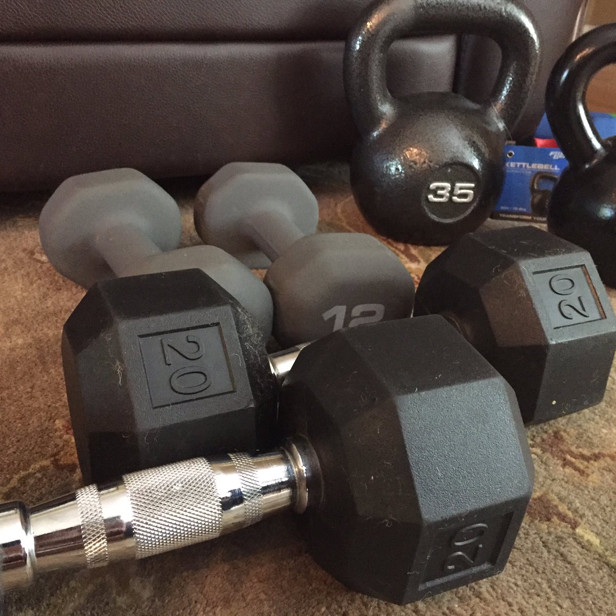 XandersJen's tweet photo. Welcome to the family, i mean arsenal 😂#35lb bell. running out of room!! @BAMstrength @MyPeakChallenge https://t.co/F1fbOynCrJ