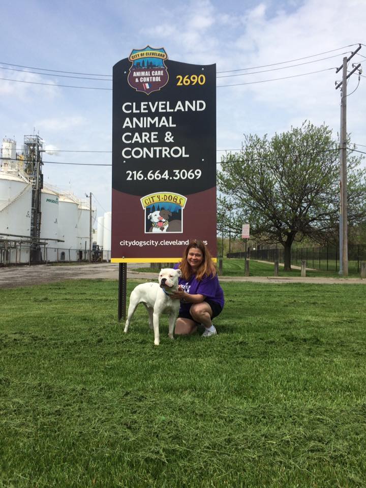 KarenSConniff's tweet photo. #Constance  #Mortmer #adopted! @DogRescueTweets @PepperTheDog @dogsrppltoo @NOKILLOHIO @NoKill20kmLife @clevpitties https://t.co/FRnnT8e6W9