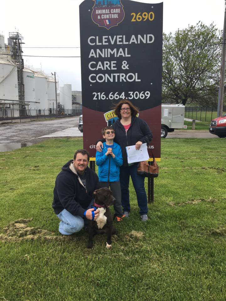 KarenSConniff's tweet photo. #Constance  #Mortmer #adopted! @DogRescueTweets @PepperTheDog @dogsrppltoo @NOKILLOHIO @NoKill20kmLife @clevpitties https://t.co/FRnnT8e6W9