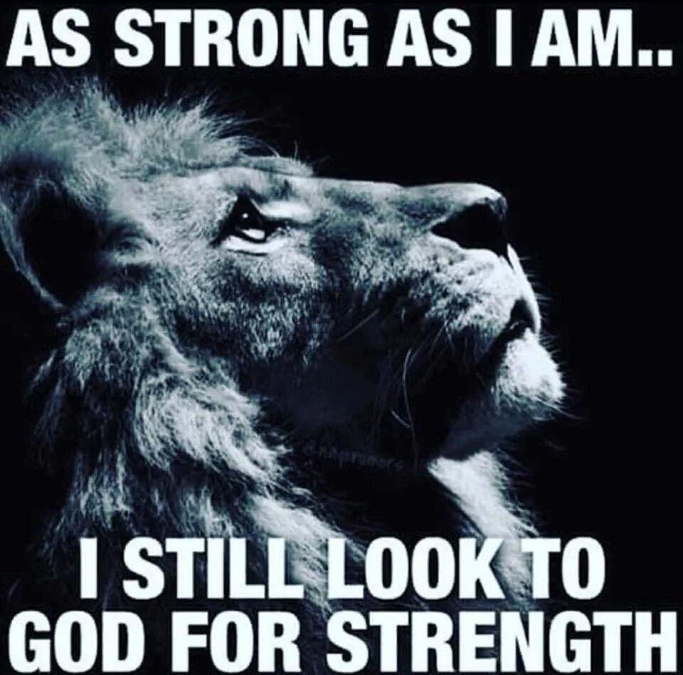 Tony Davis (@tbdavis62) on Twitter photo 