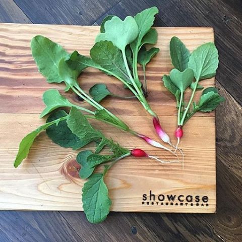 Showcase_Van's tweet photo. We are harvesting all sorts of seasonal veggies from our rooftop garden! #radishes #fresh #yvreats https://t.co/w9SsoJlRfq