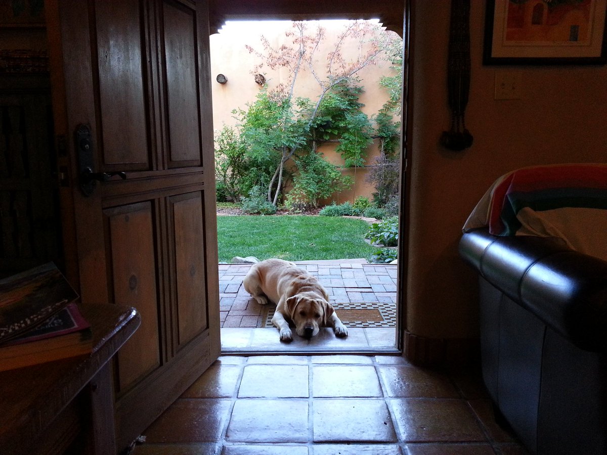 schroeders's tweet photo. Tired Dog. #openroadtrip #taos,  NM. https://t.co/FORpDPNyYU