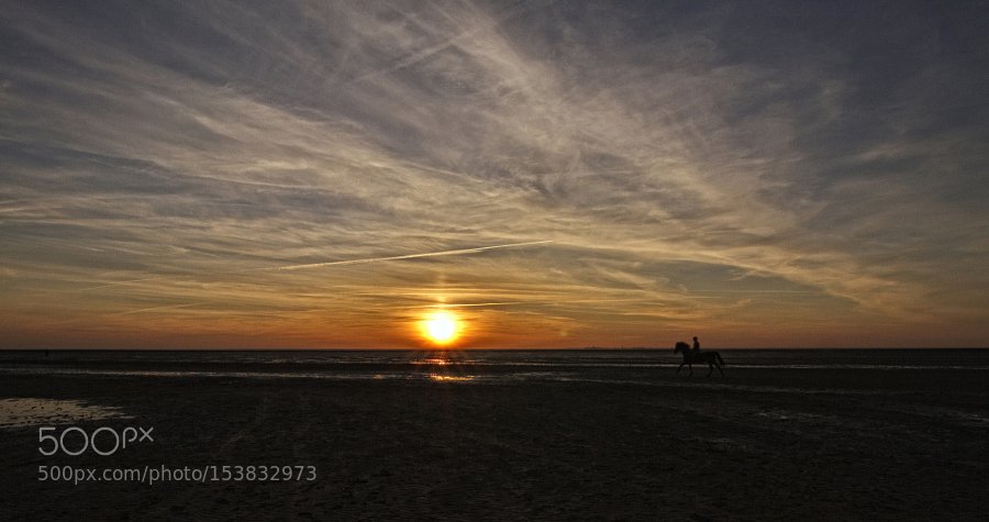 #LuxuryTravel tweet media