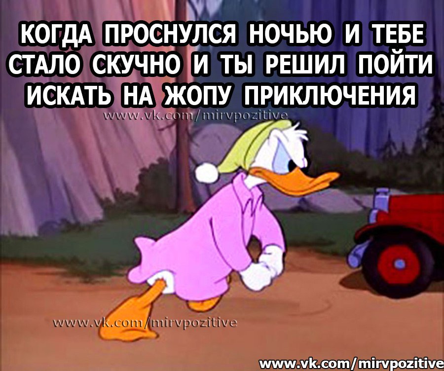 _uzhegova_'s tweet photo. Это я летом на даче😂😂🔪🐕🌚 https://t.co/RzFEEVGaXK