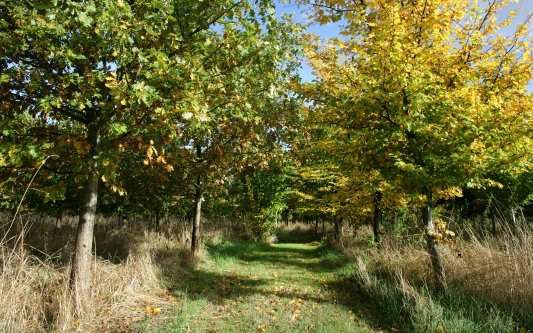 TrailAttack's tweet photo. Tomorrow the 10km course of woodland &amp; meadows is being marked for Sat. You can still book https://t.co/S3pcMAZuKn https://t.co/6iEzTc8d3r