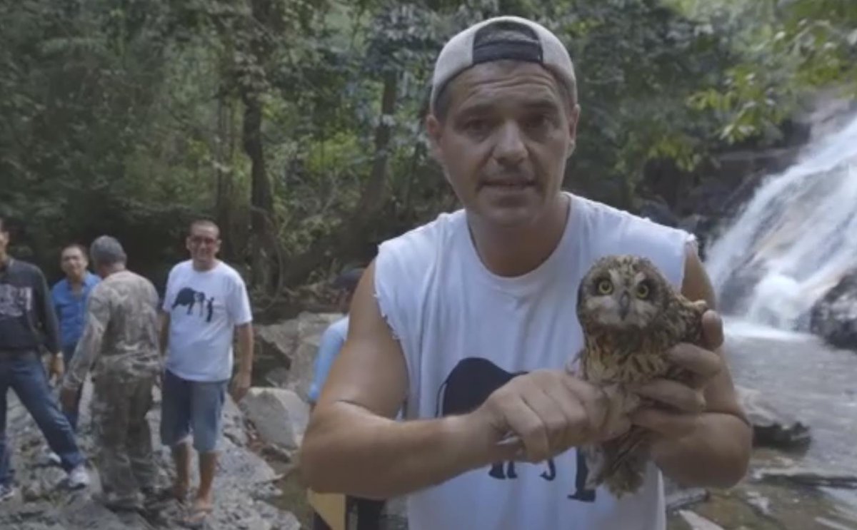wildfrank_'s tweet photo. Nunca se debe arrebatar la libertad de un animal ¡Vuela y sé libre! @Frank_Cuesta #WildFrankVSTraficoAnimal https://t.co/stqntzpM9s