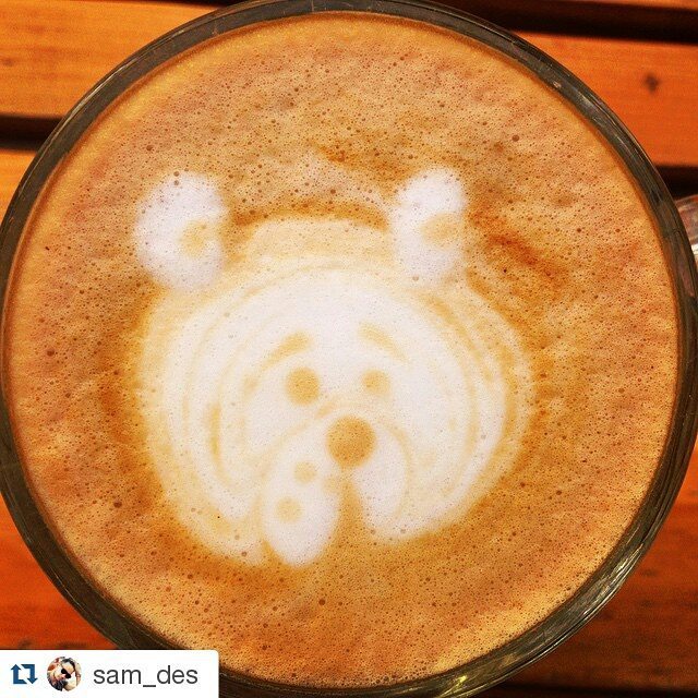 CoffeeBrue's tweet photo. New #Coffee Instagram by @karakolcoffee #karakolcoffee #karakol #kygyzstan #issikkul #coffee #travel #каракол #кирг… https://t.co/erR86RhIkN