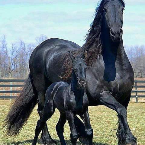 Muhamma08065360 tweet picture