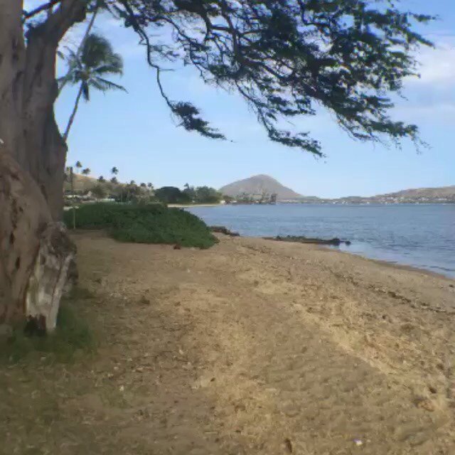 nkvball's tweet photo. Watch my Quicktip for better sound on outdoor streams @meveeapp https://t.co/9ysiRkC7yE #mevee #hawaii #808explore https://t.co/1F5ADmmdK7