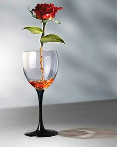 3dc0b30e979548c's tweet image. 