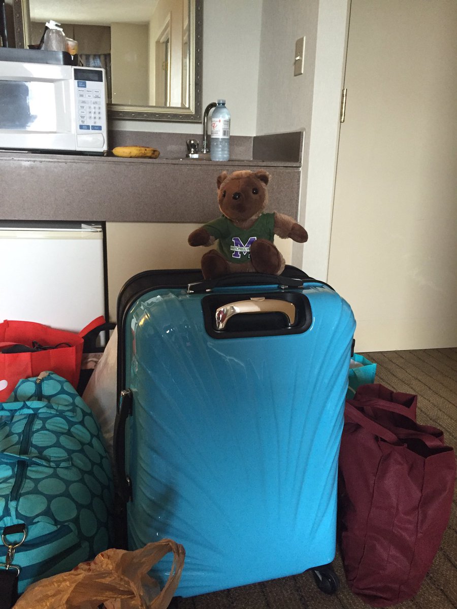 natkinson1972's tweet photo. @MitchellWoodsPS @Ms_Broadhead Wally is packed up and ready to head to Ottawa #sophiesrun#500km https://t.co/nsXPyeCyyN