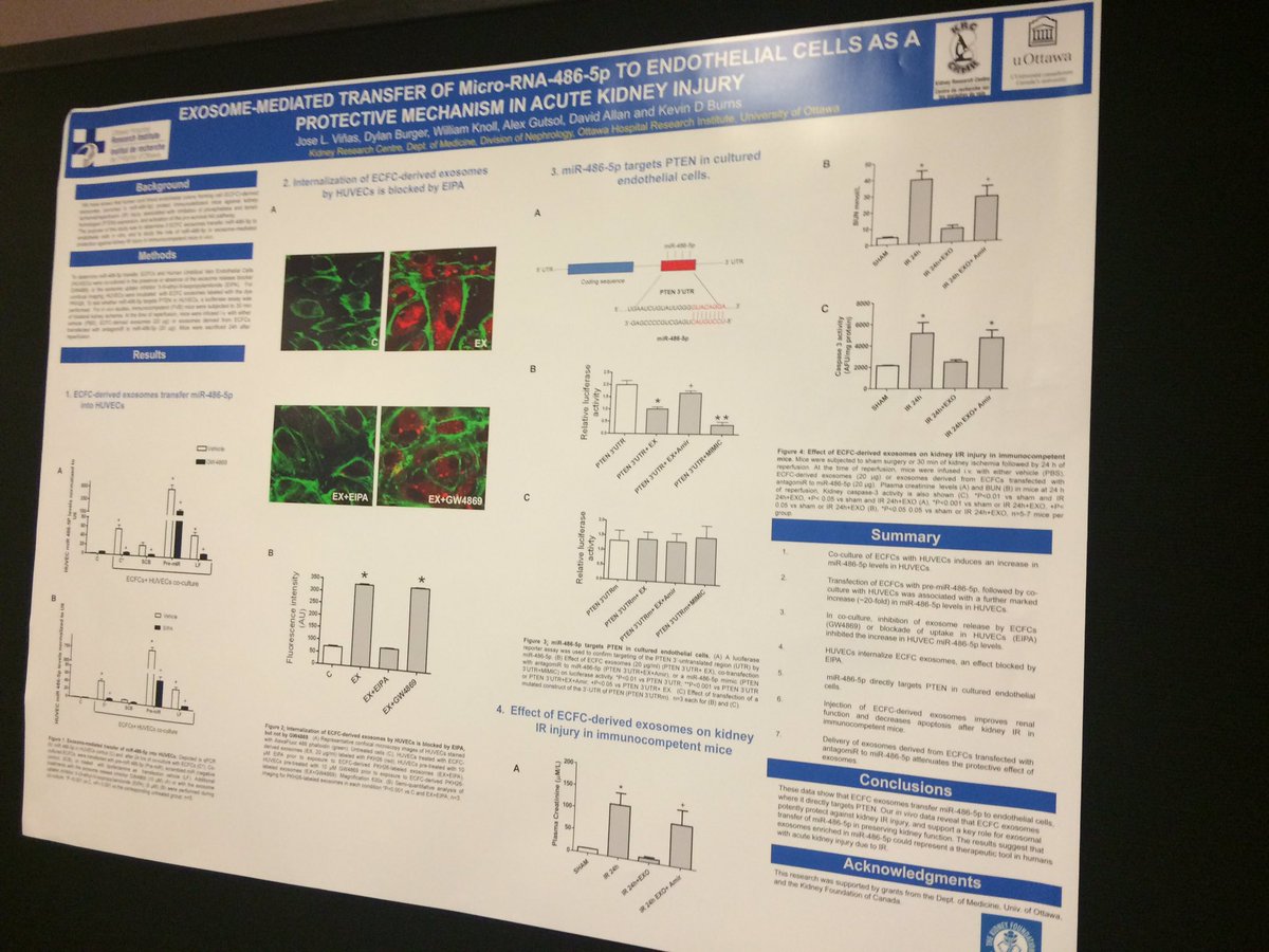hswapnil's tweet photo. Some of the basic science work from @OttawaHospital & @uOttawaResearch being presented at #CSN16 https://t.co/4s7746TnmO