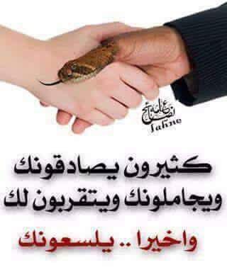 حيدر السويجت tweet media