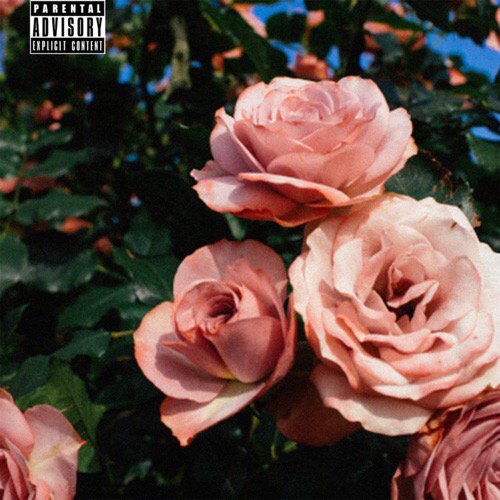 KameOfilms's tweet photo. [Mixtape] D.Webb - Never Enough @DWebb5_ @Spinrilla » https://t.co/B5mpUxP4L3 https://t.co/2IkNMnc6Vy
