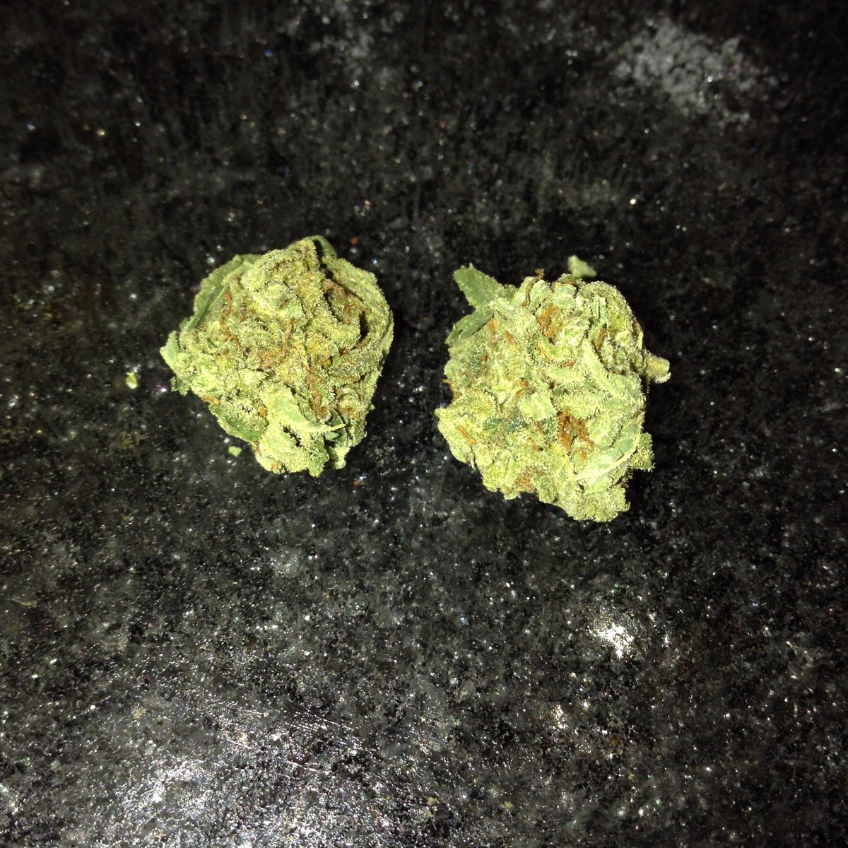 NotchCOD's tweet image. ICE