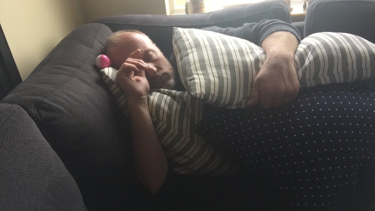 gilbysays's tweet photo. tired gilby https://t.co/dAmmExPOKq
